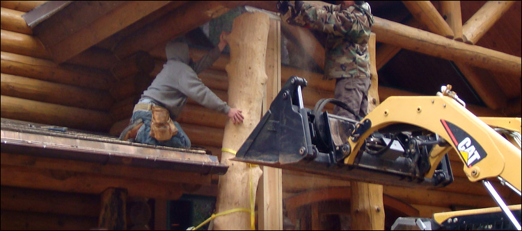 Log Home Log Replacement  King William County, Virginia