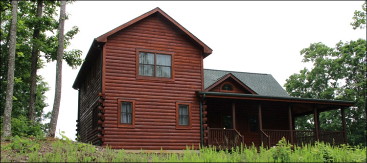 Professional Log Home Borate Application  King William County, Virginia