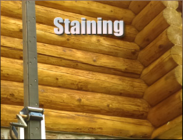  King William County, Virginia Log Home Staining